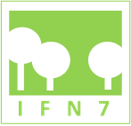 LogoIFN7